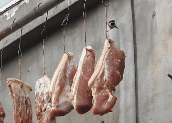 微信图片_20210310113411.gif