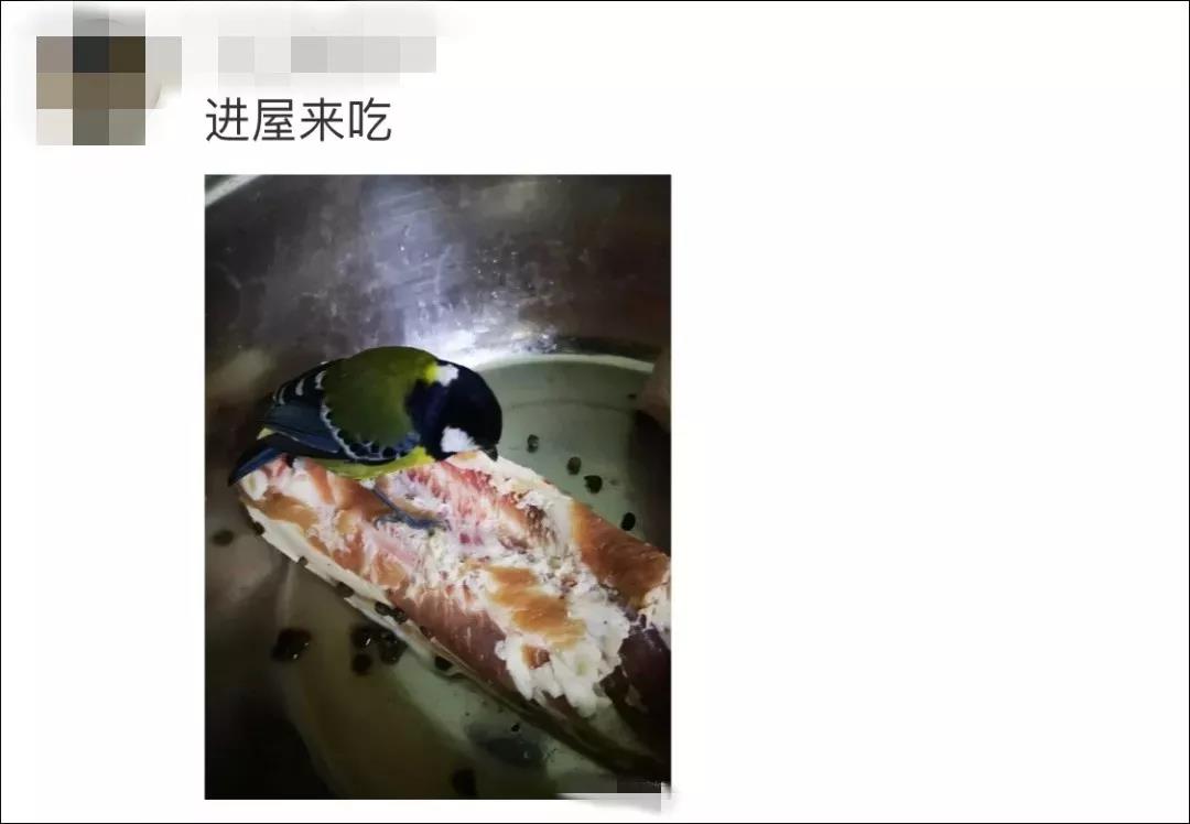 微信图片_20210310113423.jpg