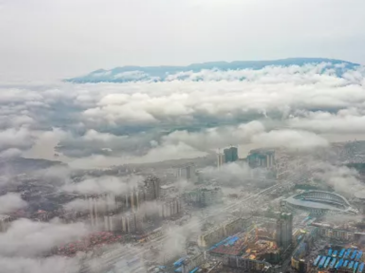 1615440346(1).png