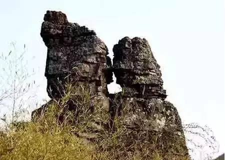 1615615747(1).jpg