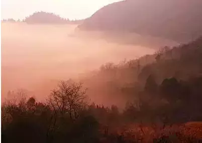 1615615728(1).jpg