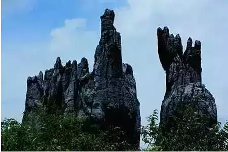 1615615857(1).jpg