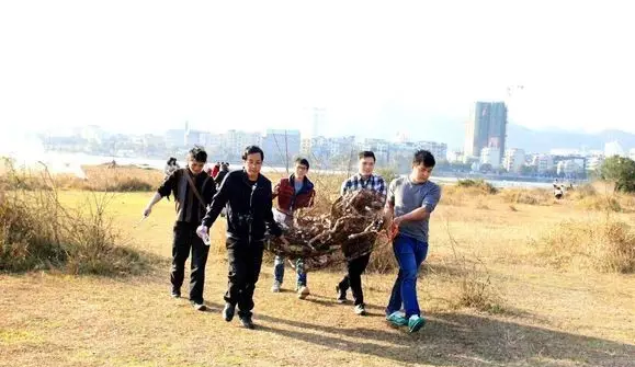 QQ浏览器截图20210315151420.png