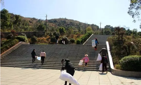QQ浏览器截图20210315151538.png