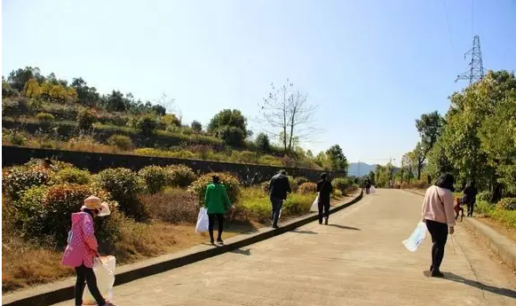 QQ浏览器截图20210315152017.png