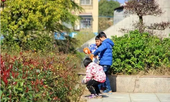QQ浏览器截图20210315151904.png