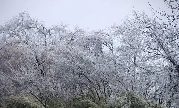 QQ浏览器截图20210316100802.png