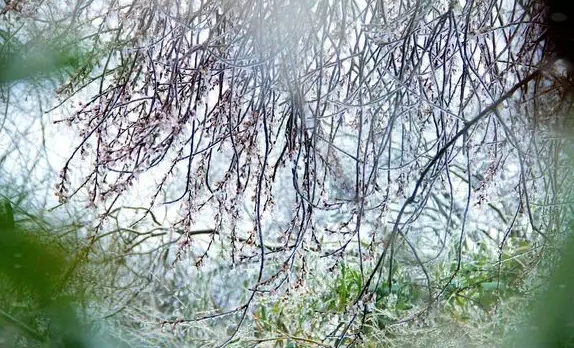 QQ浏览器截图20210316100903.png