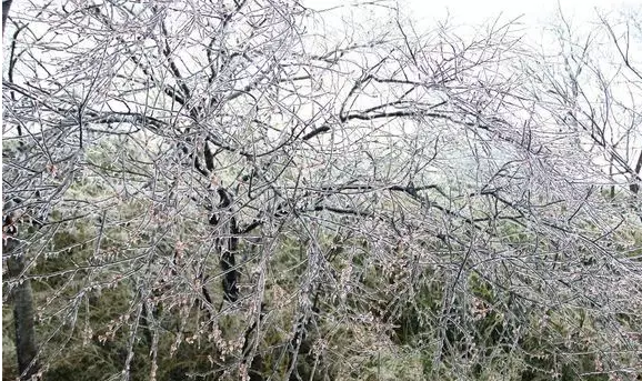 QQ浏览器截图20210316101152.png