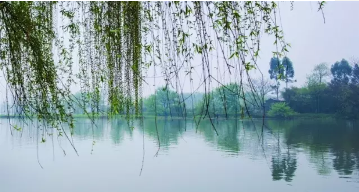 QQ浏览器截图20210316111713.png