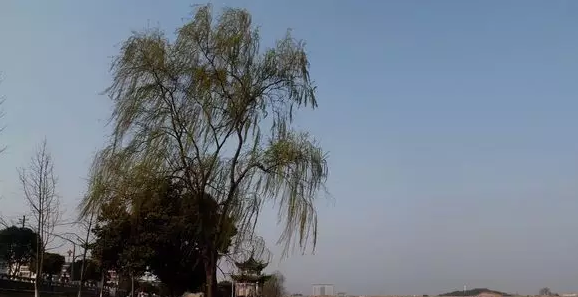 QQ浏览器截图20210316111922.png