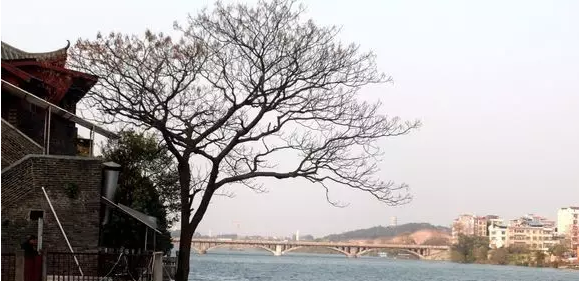 QQ浏览器截图20210316111914.png