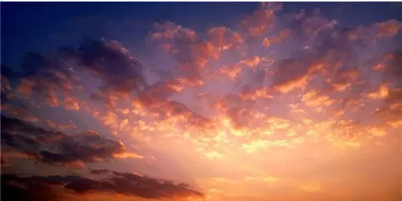 QQ浏览器截图20210316113032.png