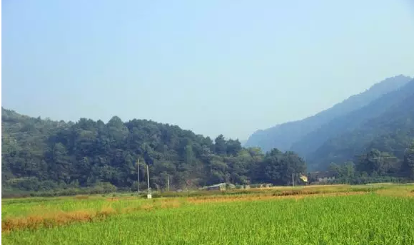 QQ浏览器截图20210316114728.png