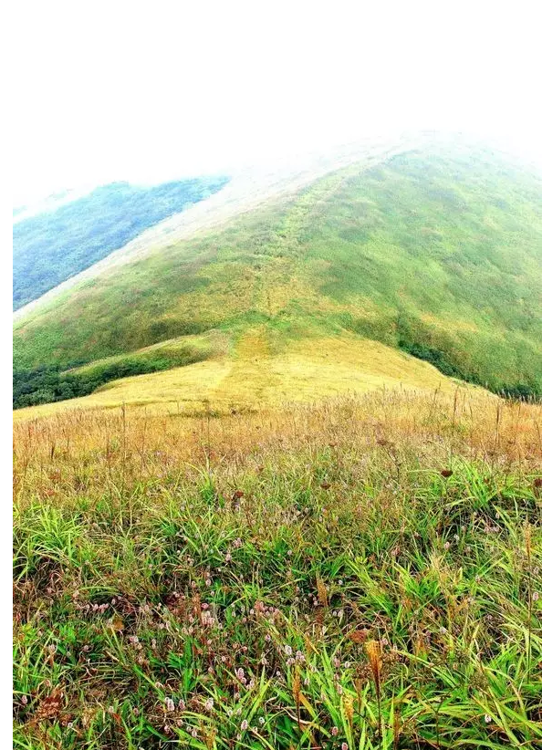 QQ浏览器截图20210316115428.png