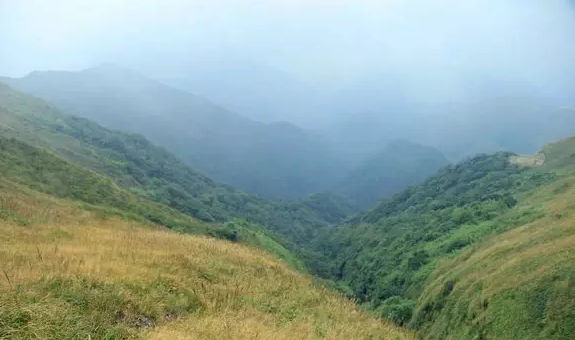 QQ浏览器截图20210316115435.png