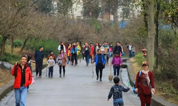QQ浏览器截图20210316145138.png