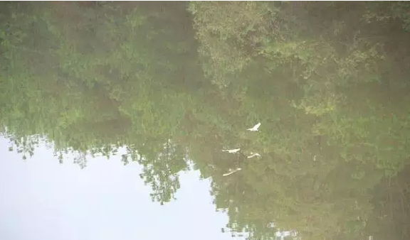 QQ浏览器截图20210316165234.png