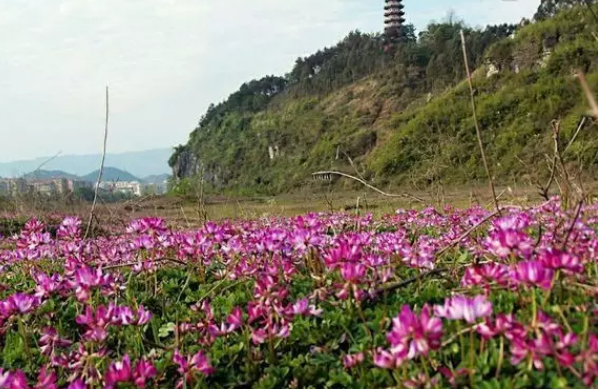 QQ浏览器截图20210317101103.png