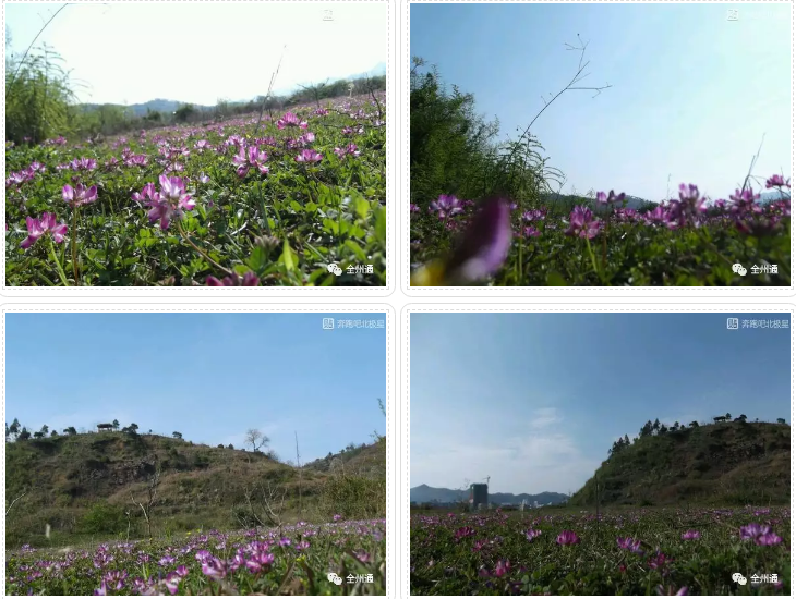 QQ浏览器截图20210317101424.png