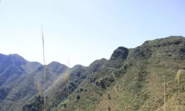 QQ浏览器截图20210317110642.png