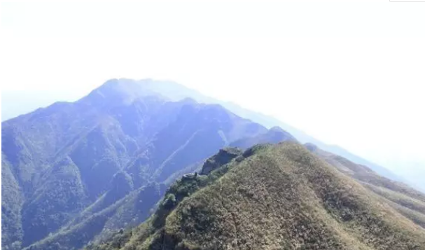 QQ浏览器截图20210317111327.png