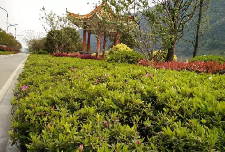 QQ浏览器截图20210317113340.png