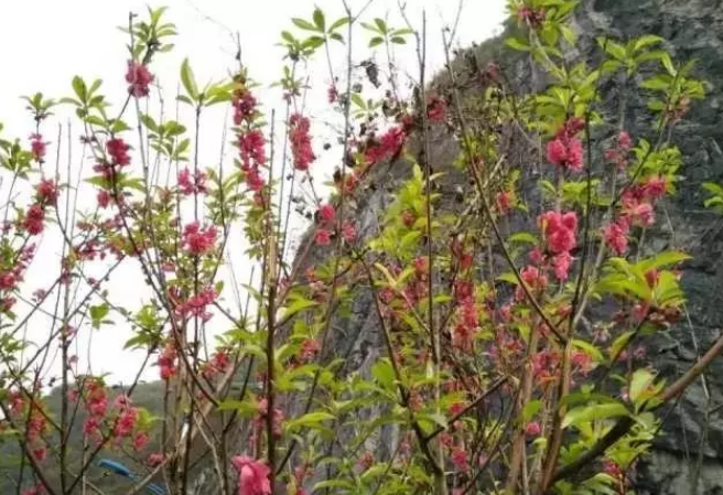 QQ浏览器截图20210317113640.png