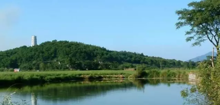 QQ浏览器截图20210318115739.png