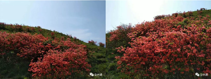 QQ浏览器截图20210318132343.png