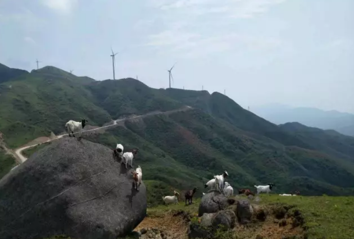 QQ浏览器截图20210318132719.png