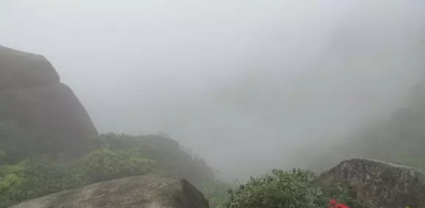 QQ浏览器截图20210318155457.png
