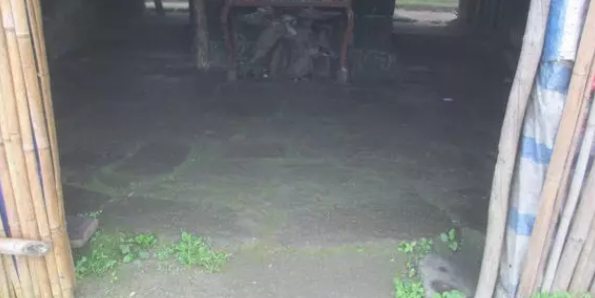 QQ浏览器截图20210318170913.png