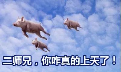 8f2cd3b449a8ac60d6ec62f643cd57bd.jpg