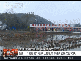 7a96970d80951dde31c99f5a8108b3aa.gif