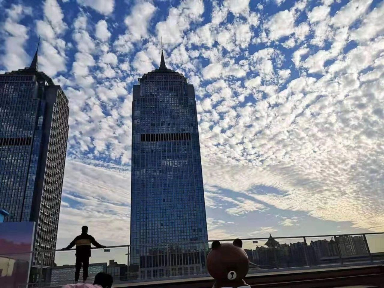 7790478f40b0728299ad6de00df1e99a.jpg