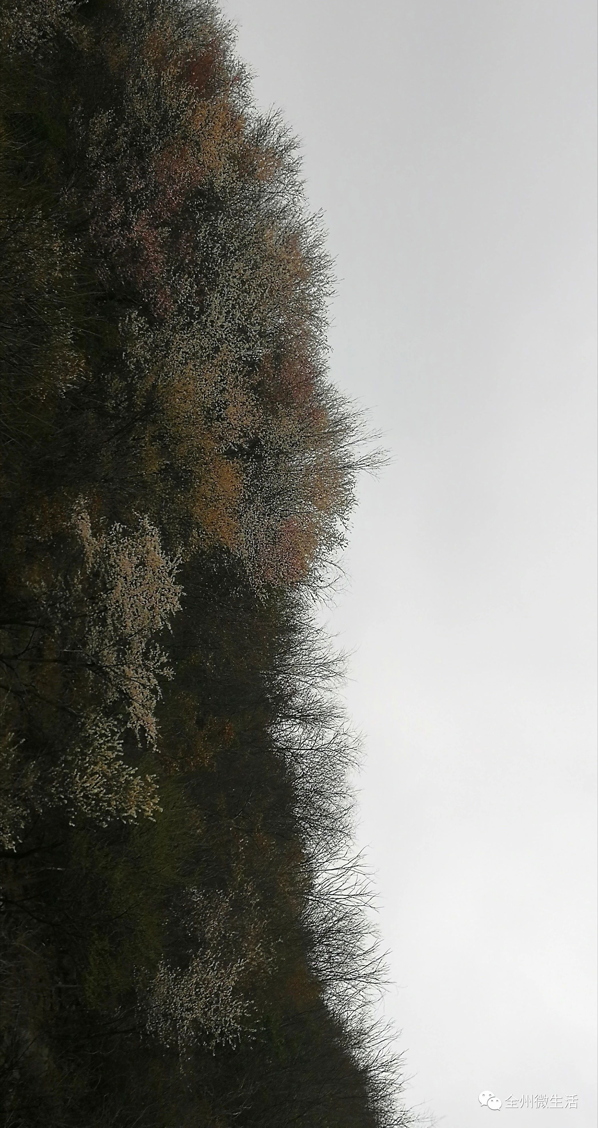 ea974472d570e7f834c4ec9a5c1e8b06.jpg