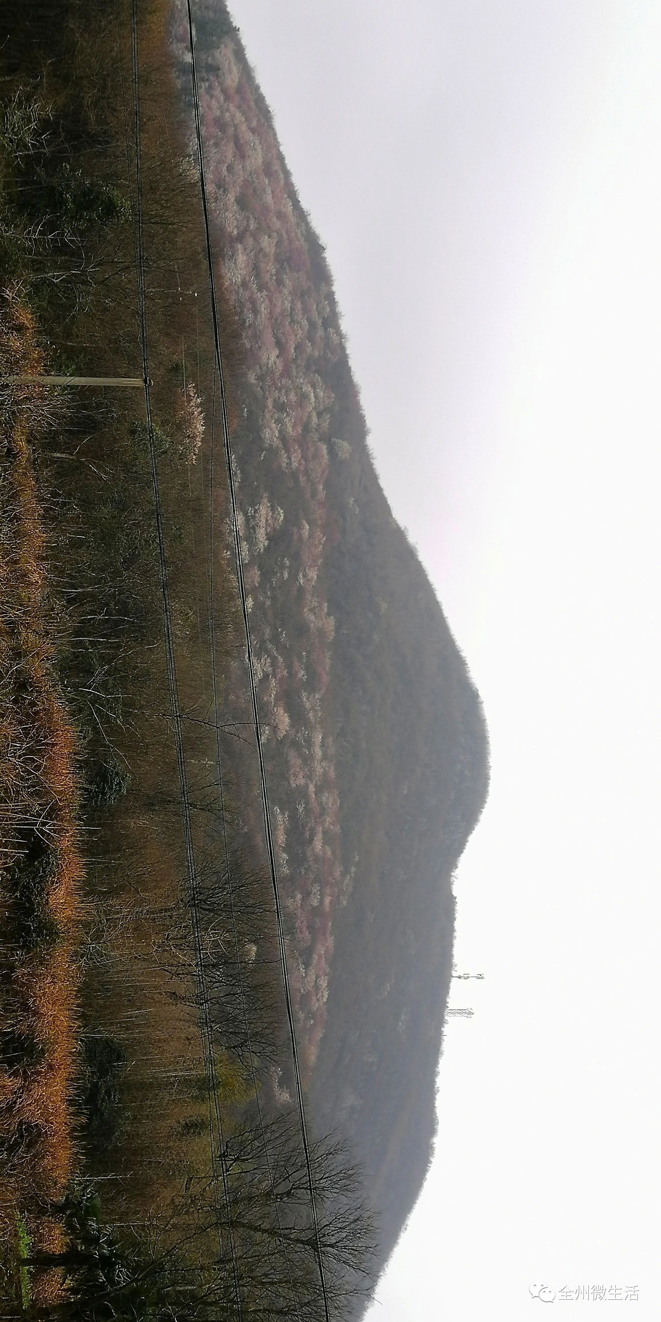 c112aeda753178ad9a31090777f64bb7.jpg