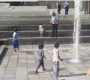 1e951fe72a02333f24cd1cf9783a4cd9.gif
