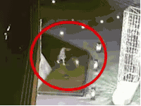 c28caefd4d6a45c247d3a1bcef79f274.gif