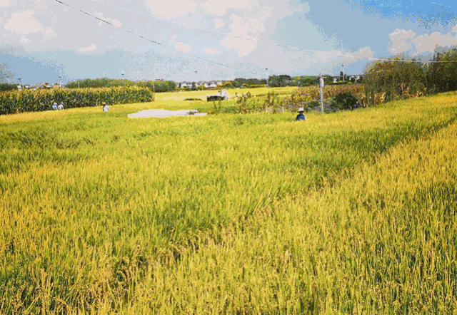 a040bb950b75f56fac6e7834c2bd4c05.gif