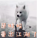 ee5839acaa55751155504380ad640f0c.png