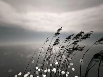 c92fec1703d604470e5d12ef81e4267a.jpg