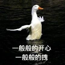 3096cb9aa5e3651aad98f59d2bfcdab6.jpg
