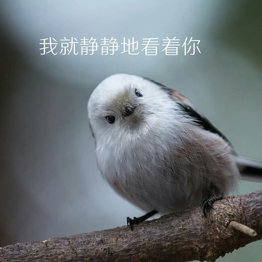 71c19c30cba9c0e4fb87b8c5c5aebb0c.jpg