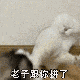 c14a1eb494fe31750561a654f5172a49.gif
