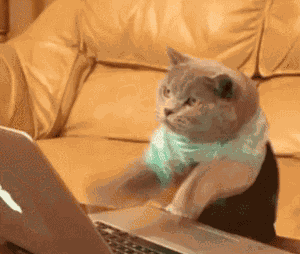 e2bd4d12ae400059c4e52a9eaa614270.gif