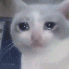 5291c1bad499580f4f9b25863c9a0479.gif