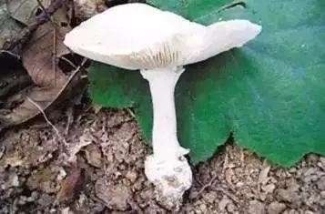 352c6f4fd1a3825d59854f98a3e09cdb.jpg