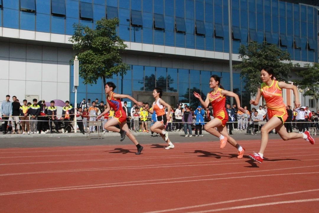 e181b8212fd204386358fe004d0374ed.jpg